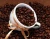Import High Quality Cheap Bulk Homegrown Robusta Coffee Bean Price For Sale from USA