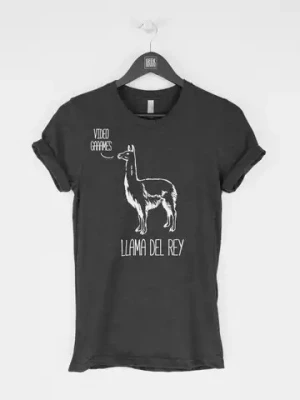 High quality 100% cotton unisex size more than 20 color stocked screen printing custom t-shirt printing