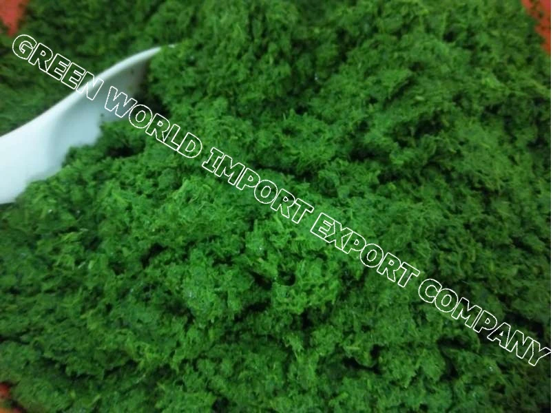 HIGH QUALITY FROZEN CASSAVA LEAVES FROM VIETNAM WITH COMPETITIVE PRICE