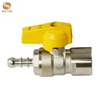 High Quality Idle Air Control Valve/Air Compressor Check Valve