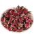 Import High quality New harvest gold rose bud for tea from China