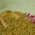 Import high quality non-gmo bulk dried yellow soybean seed factory price Small package from China