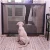 Import High Quality Portable Pet Magic Dog Mesh Gate from China