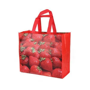 High Quality Reusable Shopping Bag,Hot Sale Reusable Bag,Supermarket Bag