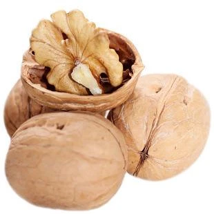 High Quality Walnuts Hot Selling in Ukraine White Walnuts