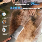 High Velocity Professional Pet Grooming Dryer with Heater Stepless Adjustable Speed 3 Different Nozzles and Comb