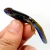 Import HiUmi 8 cm 3.8g New Arrival Plastic Silicone Bait Worms Fishing Lure Smell Attractive Fish Crab Fishing Bait Soft from China