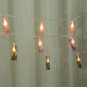 Holiday Lighting New Product 10 LED Fairy Lights Inside LED Photo Clip String Lights