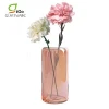 Home Decor Rose Gold Vases Glass