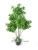 Import Home decorative artificial plastic greenery tree bonsai artificial bonsai trees for sale from China