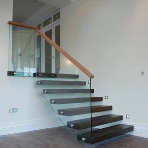 House DIY Floating Stairs with Glass Stair Railing Wood Tread