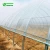 Import Hualiang 200 micron Film UV Treated Plastic Film Tunnel Greenhouse from China