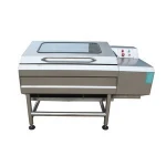 Industrial Vegetable Cleaner Stainless Steel Vegetable And Fruit Washer