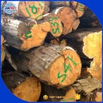 japan hinoki wood and sale hinoki wood wall panel in lower price