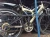 Import Japanese cheap prices super light wholesale used bicycles from Japan