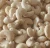 Import Latest Crop Brazil Cashew Nuts (W240, W320, W450) from Germany