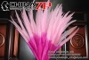 Leading Supplier in China Factory ZPDECOR Selected Prime Quality Dyed Hot Pink with Pink TIps Long Silver Pheasant Tail Feathers