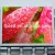 Import LED Display Screen outdoor waterproof  advertising led display video wall from China