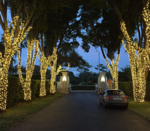 led warm white lights Christmas decoration tree led christmas outdoor 10m 100leds holiday string lights