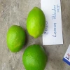 Lemon / fresh lemon is available from Pakistan fruits exporters fresh lemon exporters in Pakistan