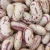 Light Speckled Kidney Beans American oval shape/Cranberry beans