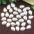 Import Loose flat back semi pearls from China