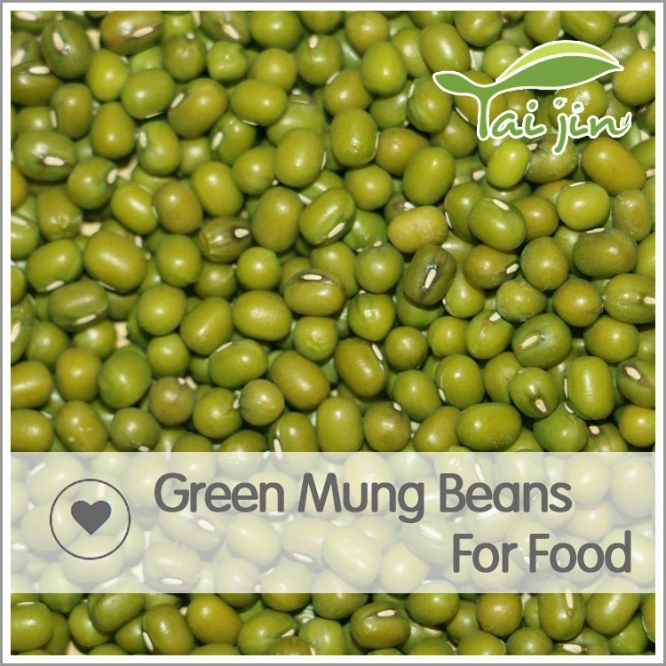 Low Price Green Mung Bean China Moong Dal Price