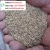 Import Low price hig oil content sesame seeds from Africa-what&#x27;s app:+22575226037 from China