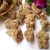 Import Manual Selection Factory Supply Chinese Herbal Medicine Pseudo-ginseng from China