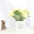 Import MINI beauty chrysanthemum simulation flower small bonsai set crafts fake flower decoration potted plant from China