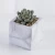 Import Mini Home Decoration Plastic Succulent Bonsai Artificial Potted Plant in Marble Grain Cement Pot from China