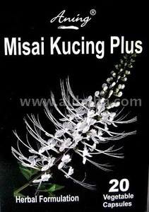 Misai Kuching Plus