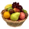 Mixed Fresh Fruit for Export