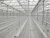 Import Modern Design Keeping Warm  Plastic Agricultural Greenhouse from China