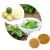 Import Monk Fruit In Food Ingredients/ 100% Natural Sweetener monk fruit Extract/Drink additives from China