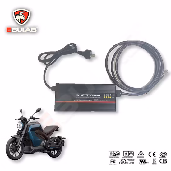 Na Sodium Ion Charger 12.6V 14.4V 25.2V 16.8V 29.2V 72V 10A Electric Scooter Charger for Li-on Scooter Battery Bike