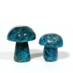 Natural Apatite Crystal Quartz Mushroom For Decoration 1 pack contain 10 pieces