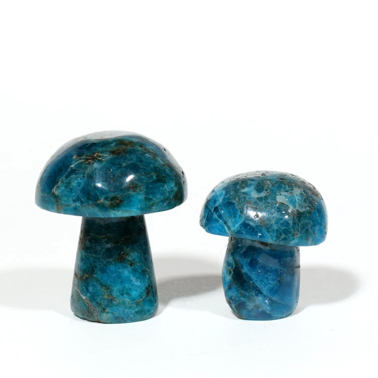Natural Apatite Crystal Quartz Mushroom For Decoration 1 pack contain 10 pieces