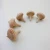 Import Natural wood funnel shaped child toy spinning top from China
