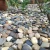 Import Nature building river stone from China