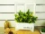 Import New creative desktop decor wooden flower pots from China