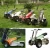 Import new FOURSTAR electric golf cart with umbrella from China