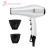 Import new products ideal 2019 ac motor blower drier spray paint coated professional salon use 3000w watt ionic hair dryer for mp6610 from China