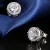 Import New Trendy Rhodium Plated AAA Cubic Zirconia Bridal Jewelry Set RIOS77 from China