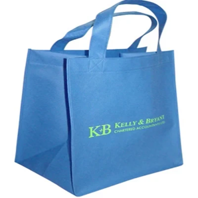 OEM Any Color Handled Eco Shopping Tote Non Woven Printing Logo Bag