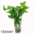 Import OEM /ODM Gift set of 3 Hydroponics plants Faux tabletop Decorative artificial greenery bonsai with glass pots for home decor from China