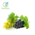 Import OPC Proanthocyanidin procyanidin 95% Grape Seed Extract For Antioxidation And Anti-aging Skin Care from China