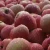 Import Organic apple fresh variety from China