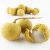 Import Organic Canned Fruits Wholesale Factory Canned Longan from China