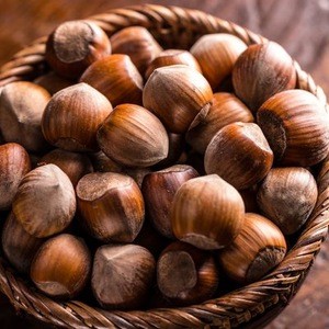 Organic Certified Hazelnut high quality from South Africa